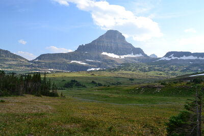 DSC_0095.JPG