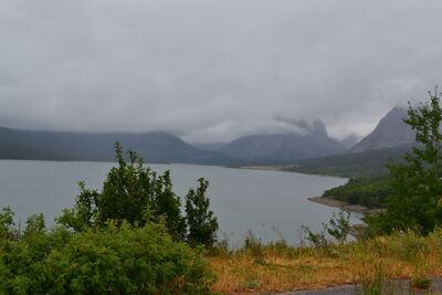 DSC_0098.JPG