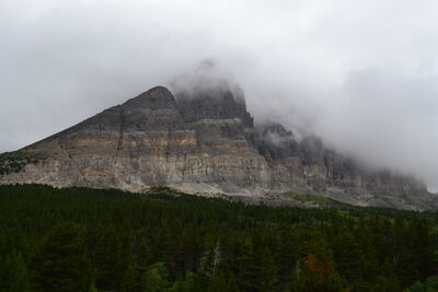 DSC_0100.JPG