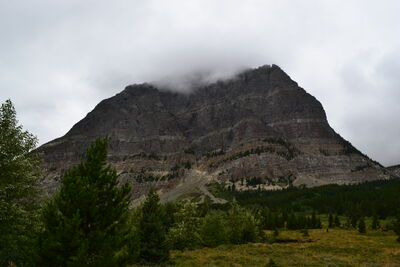 DSC_0101.JPG