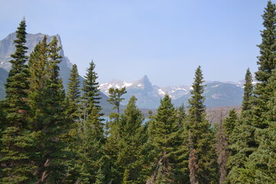 DSC_0116.JPG