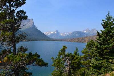 DSC_0117.JPG