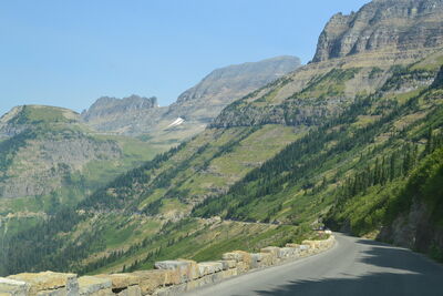 DSC_0123.JPG