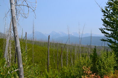 DSC_0127.JPG