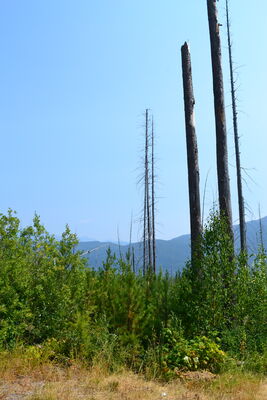 DSC_0128.JPG