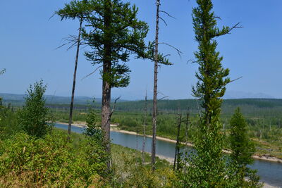 DSC_0130.JPG