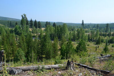 DSC_0133.JPG
