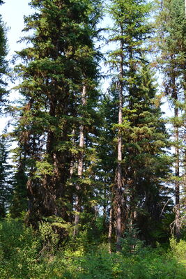 DSC_0136.JPG