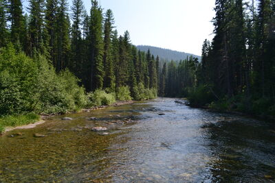 DSC_0138.JPG