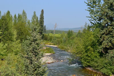 DSC_0143.JPG