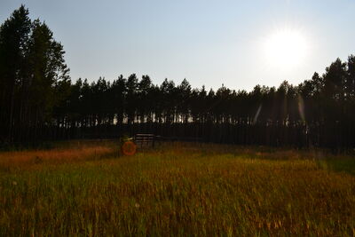 DSC_0146.JPG