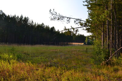 DSC_0147.JPG