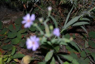 DSC_0152.JPG