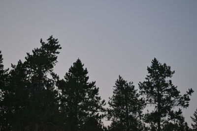 DSC_0156.JPG