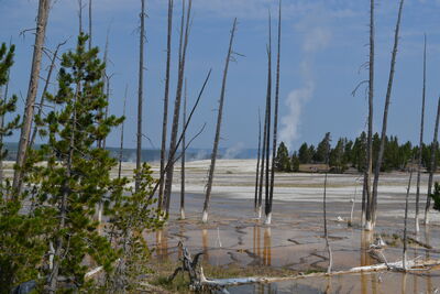 DSC_0159.JPG