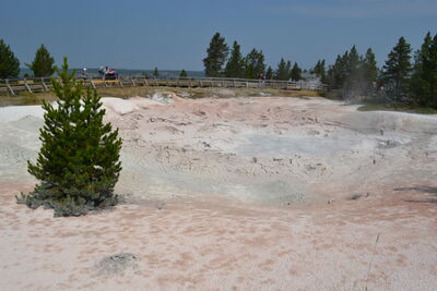 DSC_0163.JPG