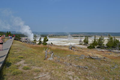 DSC_0165.JPG
