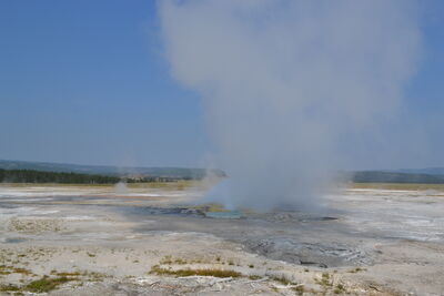 DSC_0166.JPG