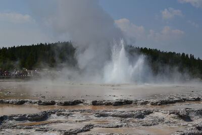 DSC_0172.JPG