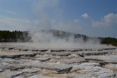 DSC_0173.JPG