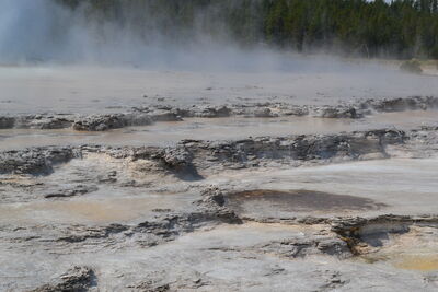 DSC_0175.JPG