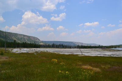 DSC_0193.JPG