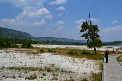 DSC_0196.JPG