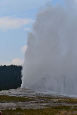 DSC_0207.JPG