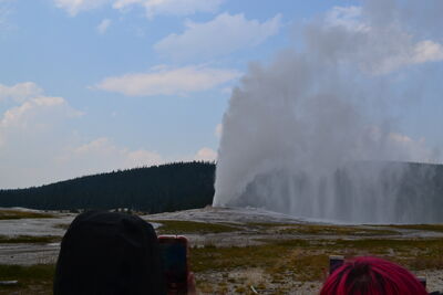 DSC_0208.JPG