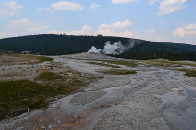 DSC_0209.JPG