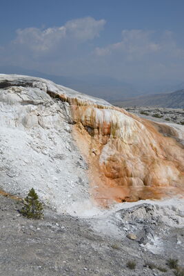 DSC_0216.JPG