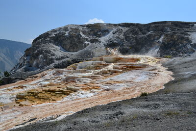 DSC_0233.JPG