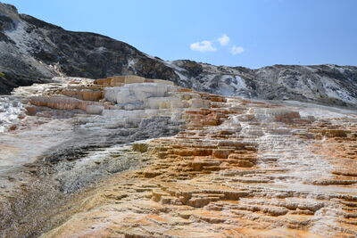 DSC_0236.JPG