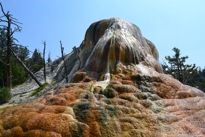 DSC_0238.JPG