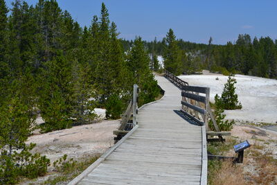 DSC_0244.JPG
