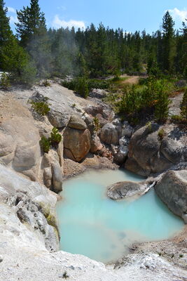 DSC_0247.JPG