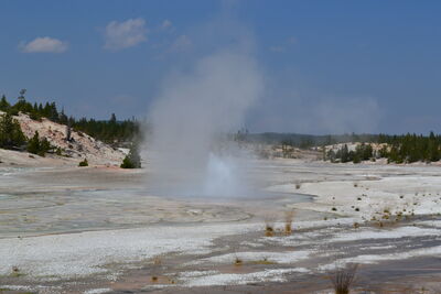 DSC_0250.JPG
