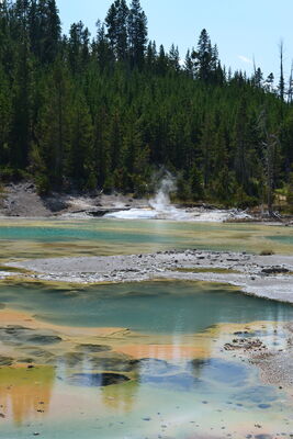 DSC_0253.JPG