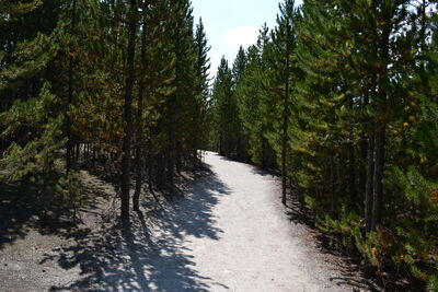DSC_0255.JPG