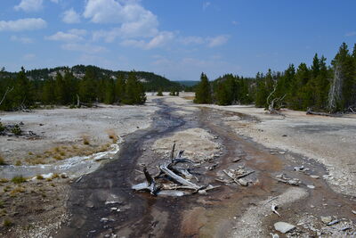 DSC_0257.JPG
