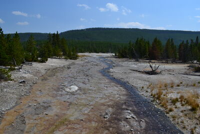 DSC_0258.JPG