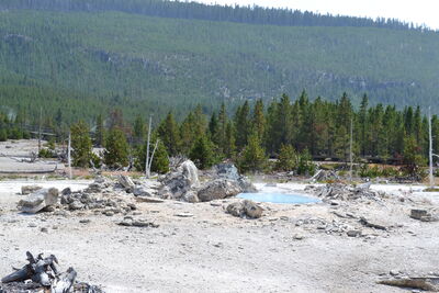 DSC_0262.JPG