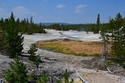 DSC_0266.JPG