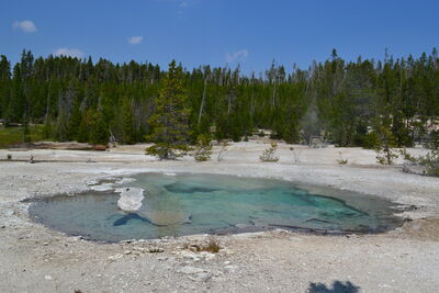 DSC_0270.JPG