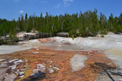 DSC_0271.JPG