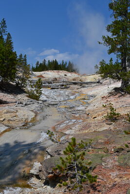 DSC_0274.JPG