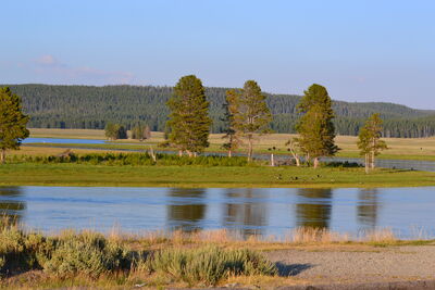 DSC_0294.JPG