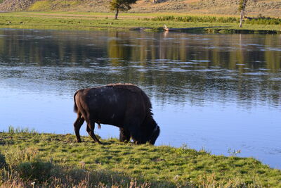 DSC_0297.JPG