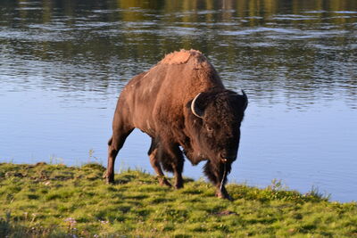 DSC_0298.JPG