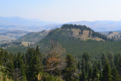 DSC_0335.JPG